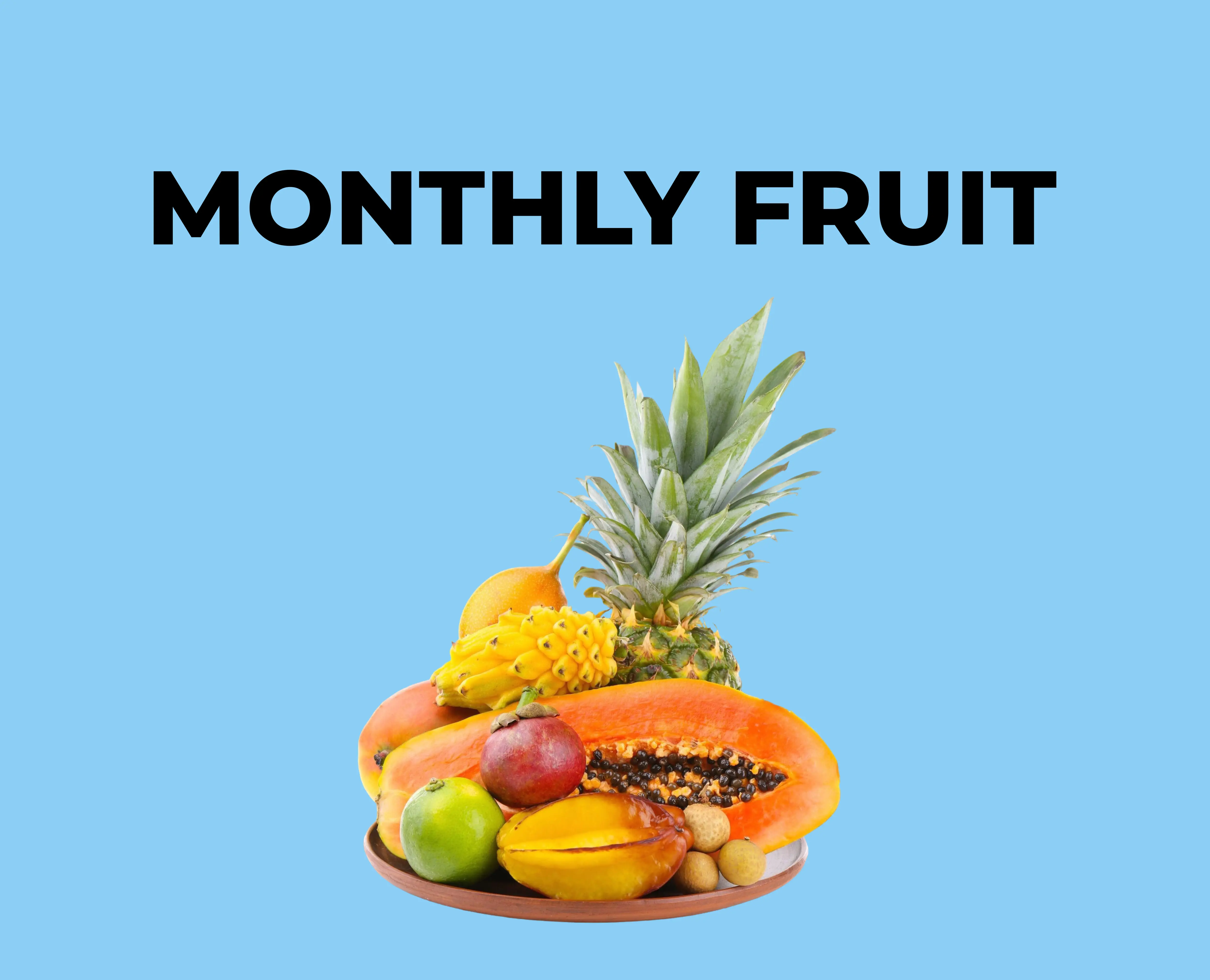 Festival Celebration